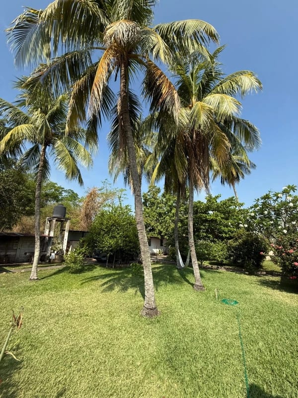 PROPIEDAD CON PISCINA Y CASA DE DESCANSO EN VENTA EN TORREMOLINOS KM. 79 AUTOPISTA A PUERTO QUETZAL ESCUINTLA — Terreno en Venta en Escuintla, Escuintla — foto 16 de 17