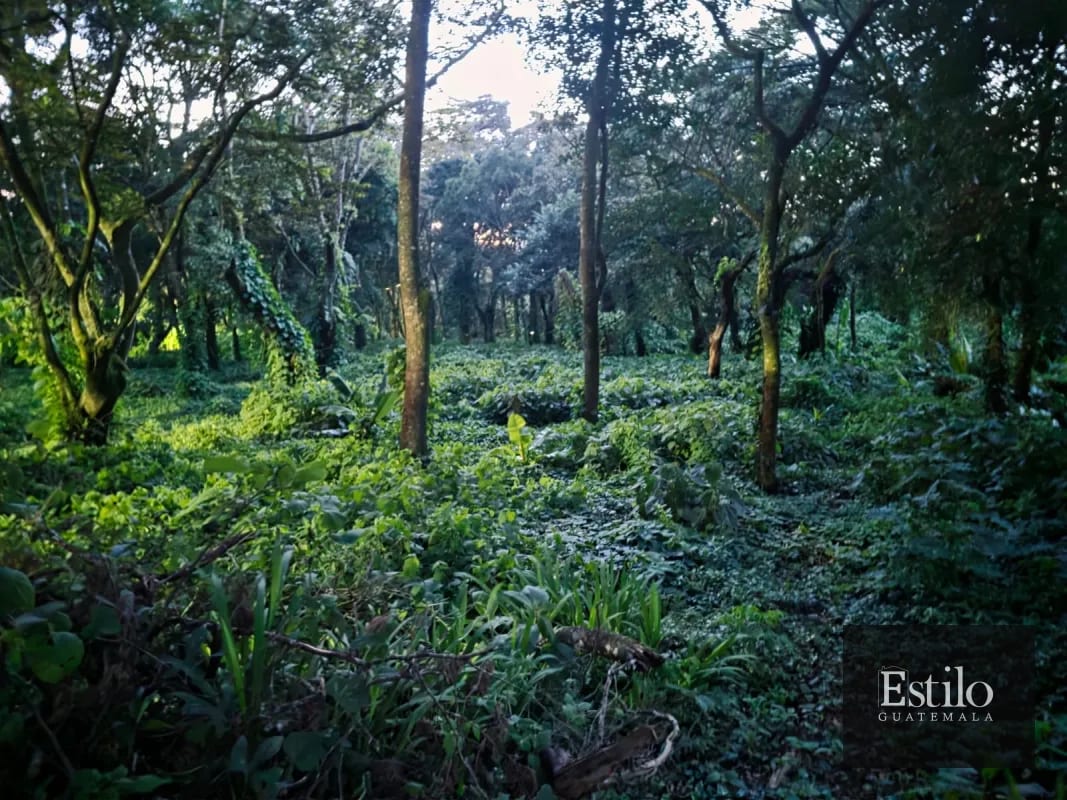 Terreno En Venta Premier Campestre — Terreno en Venta en Premier Campestre, Carretera a El Salvador, Guatemala, Ciudad — foto 1 de 1