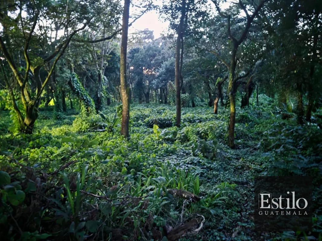 Terreno En Venta Premier Campestre — Terreno en Venta en Premier Campestre, Carretera a El Salvador, Guatemala, Ciudad — foto 1 de 1