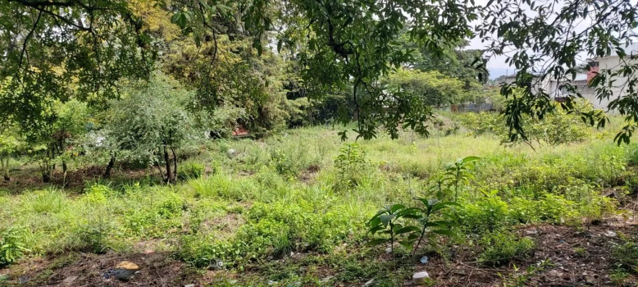 Alquiler 4,200 v2 Naranjo zona 11 Mixco — Terreno en Alquiler en Colinas de Minerva, Zona 11 Mixco, Guatemala, Ciudad — foto 8 de 12