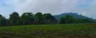 AMPLIO TERRENO EN VENTA TOTALMENTE PLANO SANTA LUCI AMILPAS ALTAS — Terreno en Venta en Santa Lucía Milpas Altas, Sacatepéquez — miniatura 4 de 4
