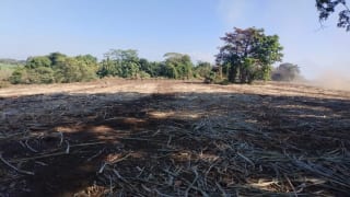 Terreno 43 Manzanas Escuintla — Finca en Venta en La Democracia, Escuintla — miniatura 1 de 5