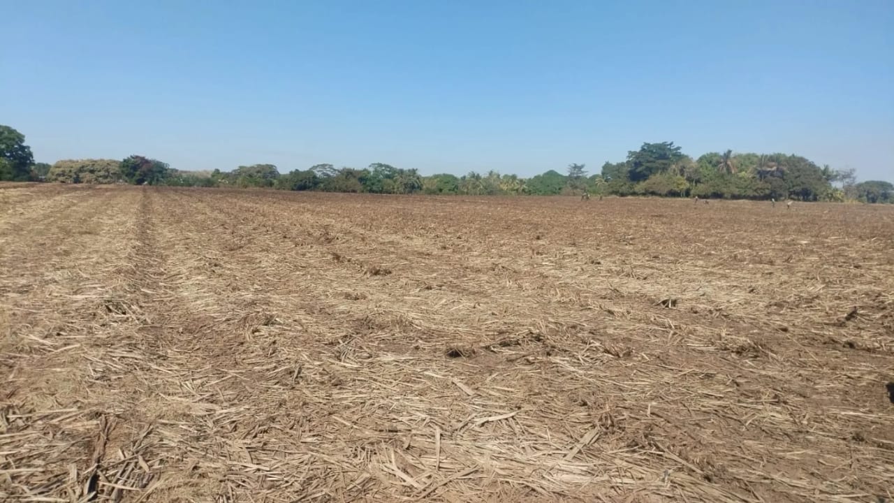 Terreno 43 Manzanas Escuintla — Finca en Venta en La Democracia, Escuintla — foto 4 de 5