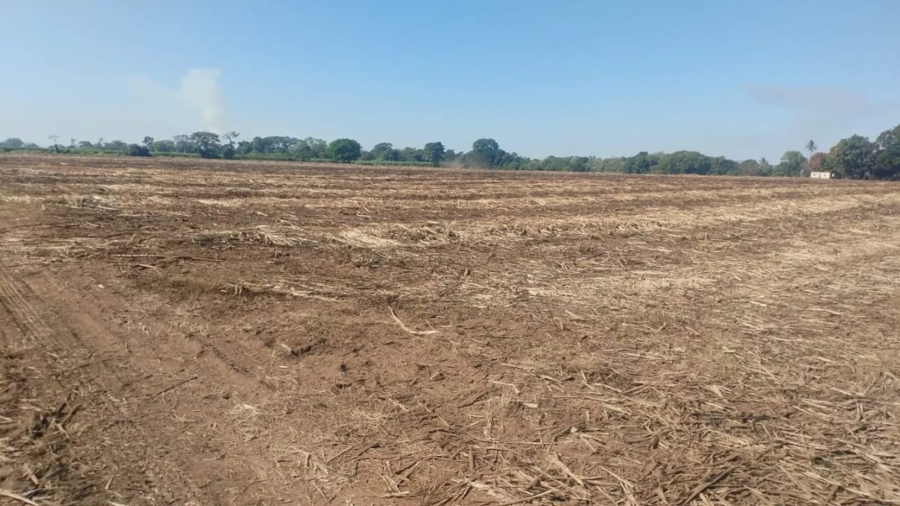 Terreno 43 Manzanas Escuintla — Finca en Venta en La Democracia, Escuintla — foto 3 de 5