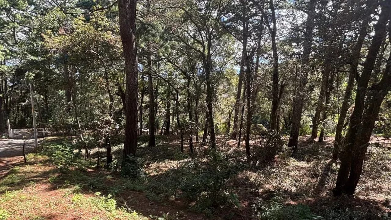 Venta de terreno en San Lucas Aldea El Choacorral  8,290 Vr2. — Terreno en Venta en San Lucas Sacatepéquez, Sacatepéquez — foto 4 de 4