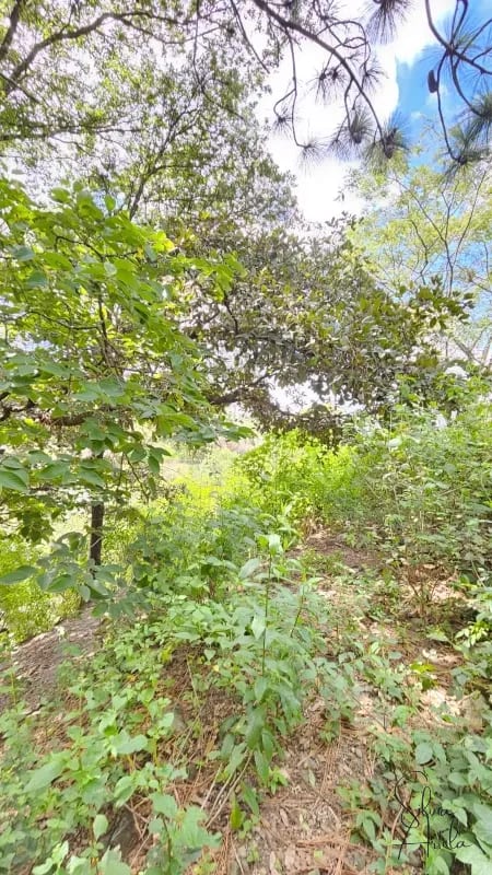 Terreno en venta en Huehuetenango salida a carretera — Terreno en Venta en Huehuetenango, Huehuetenango — foto 1 de 17