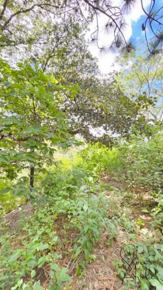 Terreno en venta en Huehuetenango salida a carretera — Terreno en Venta en Huehuetenango, Huehuetenango — miniatura 1 de 17