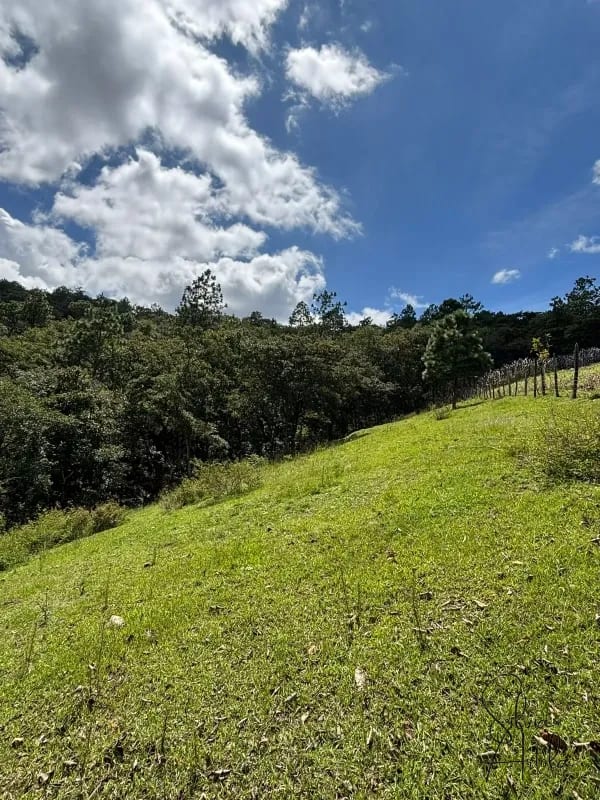Terreno en venta en Huehuetenango salida a carretera — Terreno en Venta en Huehuetenango, Huehuetenango — foto 10 de 17