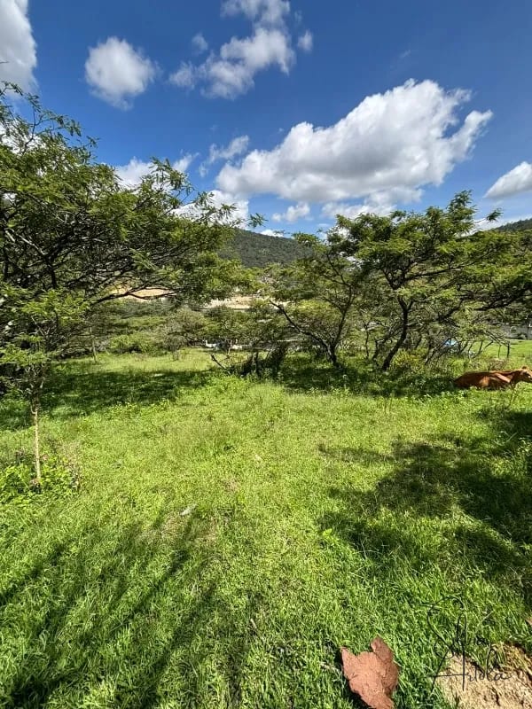 Terreno en venta en Huehuetenango salida a carretera — Terreno en Venta en Huehuetenango, Huehuetenango — foto 12 de 17