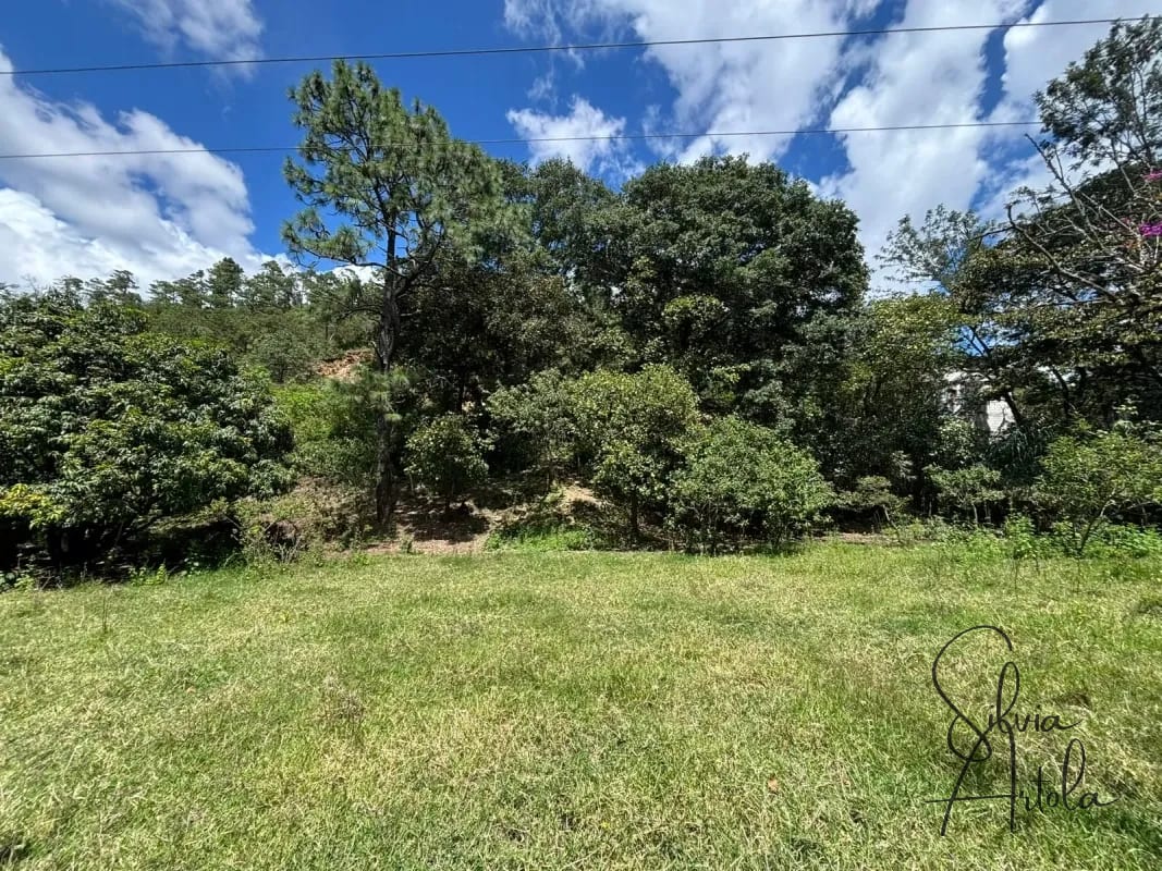 Terreno en venta en Huehuetenango salida a carretera — Terreno en Venta en Huehuetenango, Huehuetenango — foto 13 de 17