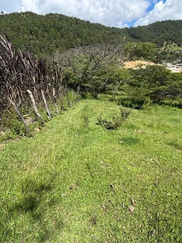 Terreno en venta en Huehuetenango salida a carretera — Terreno en Venta en Huehuetenango, Huehuetenango — foto 14 de 17
