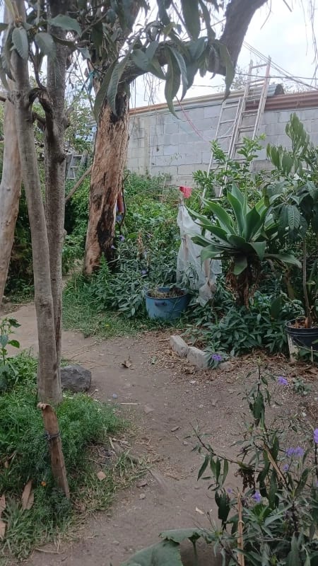 TERRENO EN VENTA EN EL CORAZON DE ANTIGUA — Terreno en Venta en Antigua, Sacatepéquez — foto 4 de 4