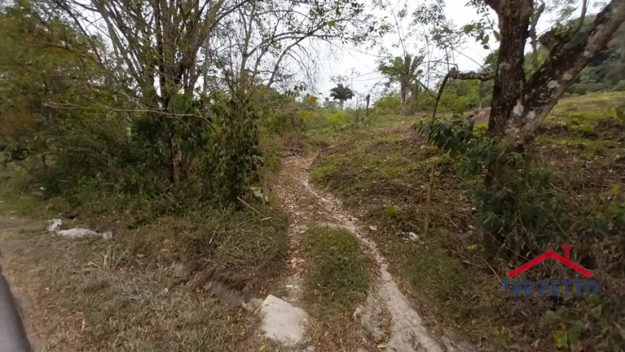 TERRENO RIO DULCE — Terreno en Venta en Livingston, Izabal — foto 5 de 7