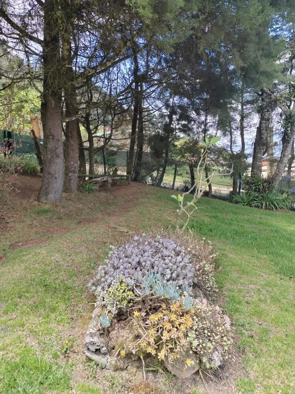 Exclusiva Cabaña en venta, Hobbitenango, Antigua Guatemala — Casa en Venta en Antigua, Sacatepéquez — foto 3 de 17