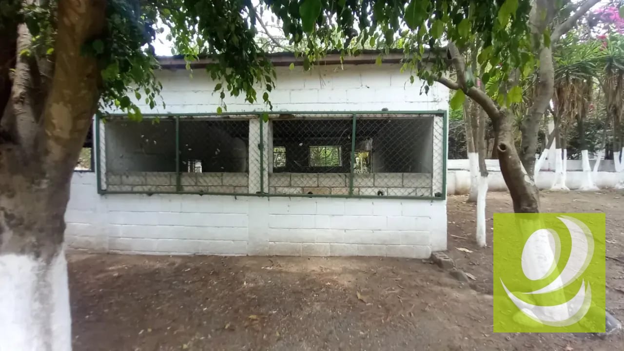 Terreno en Venta /Renta en San José Villa Nueva — Terreno en Venta en Villa Nueva, Guatemala, Ciudad — foto 3 de 6
