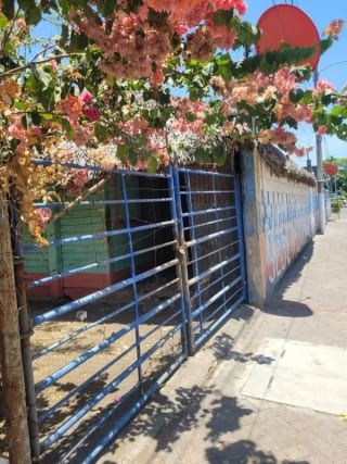 OPORTUNIDAD COMERCIAL: Terreno en Puerto de Iztapa — Terreno en Alquiler en Iztapa, Escuintla — miniatura 6 de 10