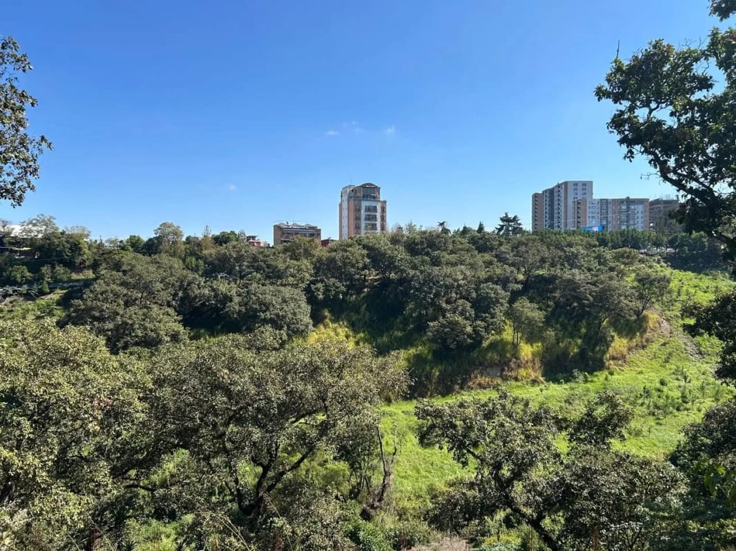 VENDO TERRENO EN ZONA 10, OAKLAND 1 — Terreno en Venta en Oakland I, Zona 10, Guatemala, Ciudad — foto 4 de 5