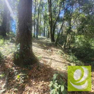 Terreno en Venta Bosque Vivo — Terreno en Venta en Zona 1 Mixco, Guatemala, Ciudad — miniatura 2 de 6
