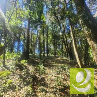 Terreno en Venta Bosque Vivo — Terreno en Venta en Zona 1 Mixco, Guatemala, Ciudad — miniatura 3 de 6