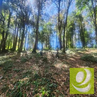 Terreno en Venta Bosque Vivo — Terreno en Venta en Zona 1 Mixco, Guatemala, Ciudad — miniatura 1 de 6