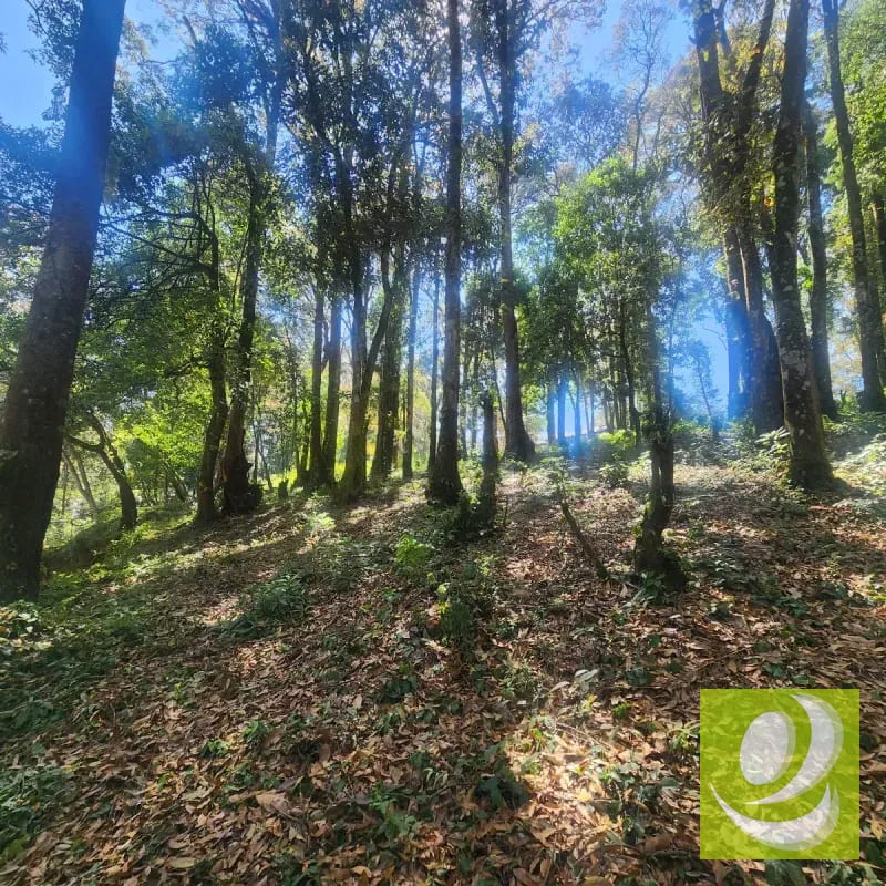Terreno en Venta Bosque Vivo — Terreno en Venta en Zona 1 Mixco, Guatemala, Ciudad — foto 5 de 6