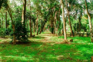Terreno en Antigua Guatemala — Terreno en Venta en Antigua, Sacatepéquez — miniatura 4 de 7