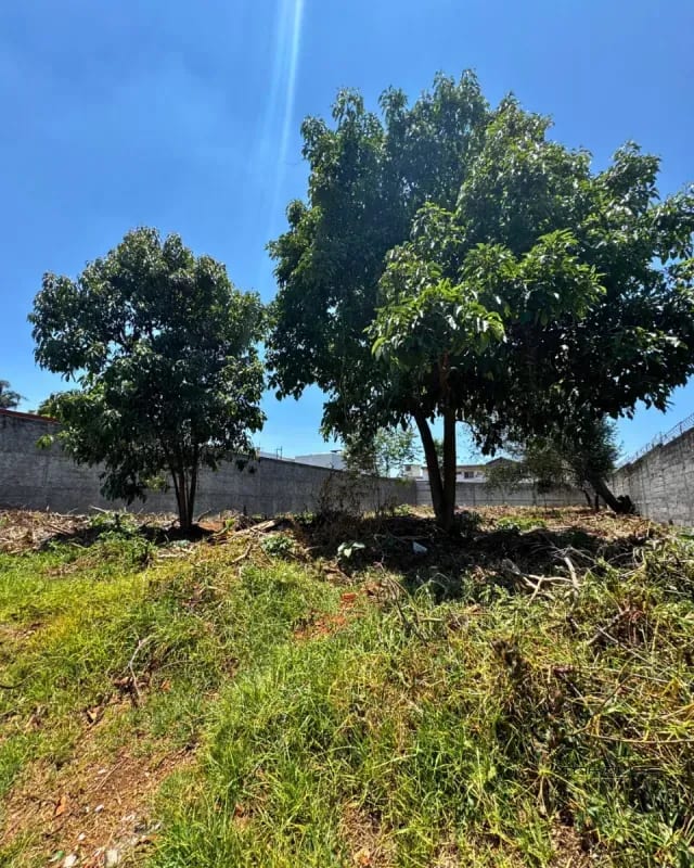 TERRENO EN VENTA EN LOS ALPES SAN LUCAS — Terreno en Venta en San Lucas Sacatepéquez, Sacatepéquez — foto 6 de 7