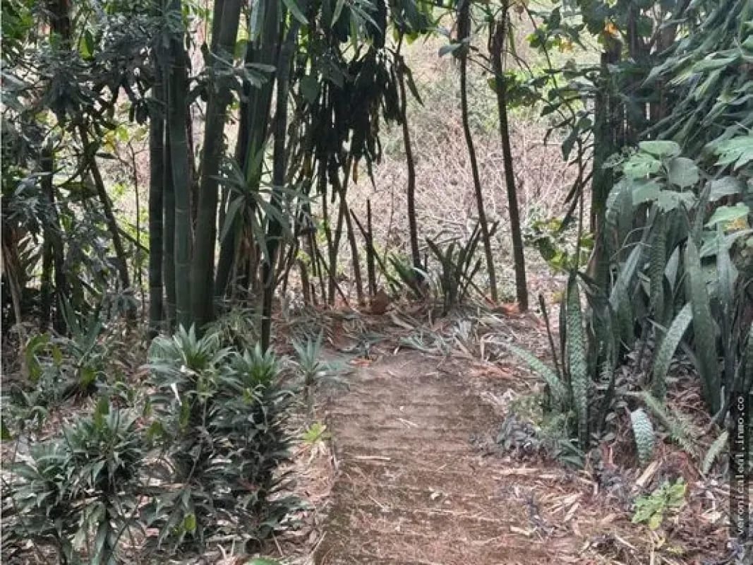 Km 29.5 sobre carretera a El Salvador Terreno en venta — Terreno en Venta en Carretera a El Salvador, Guatemala, Ciudad — foto 10 de 17
