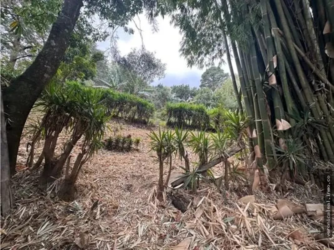 Km 29.5 sobre carretera a El Salvador Terreno en venta — Terreno en Venta en Carretera a El Salvador, Guatemala, Ciudad — foto 11 de 17