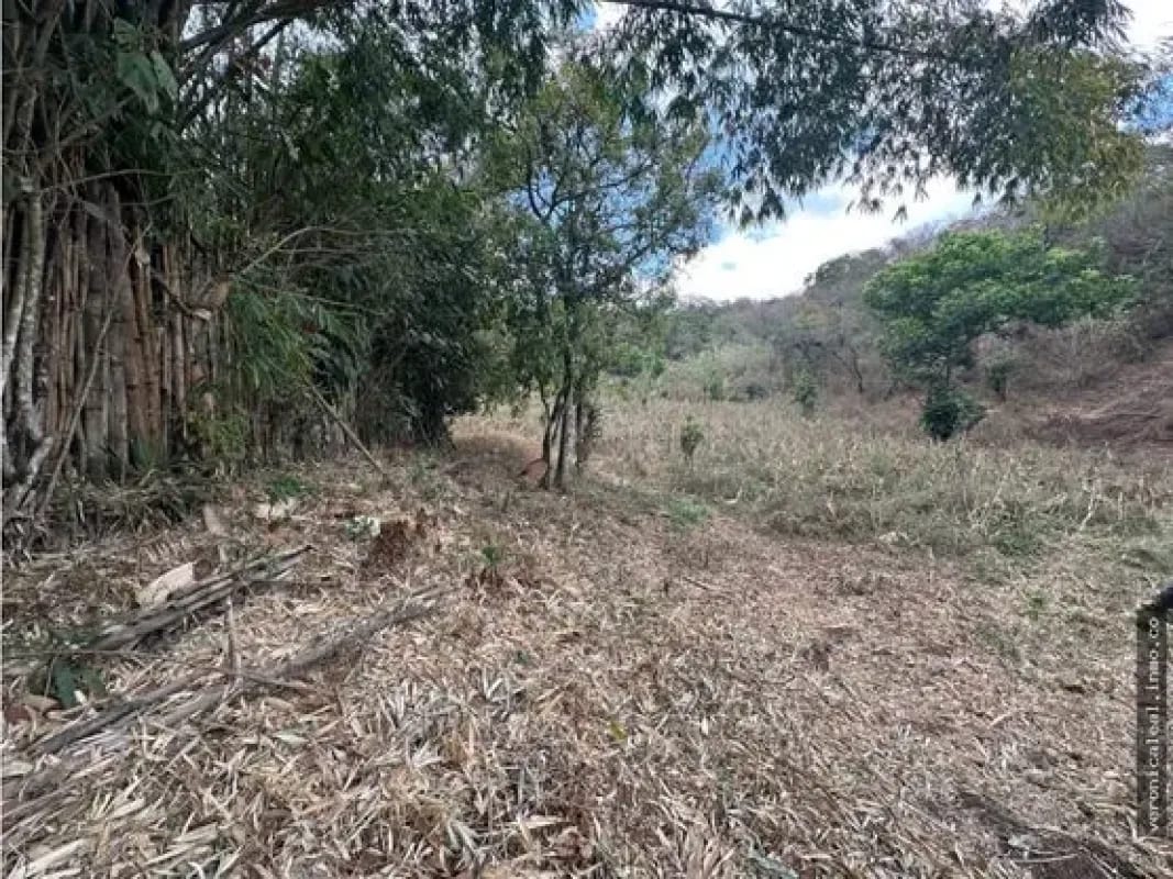 Km 29.5 sobre carretera a El Salvador Terreno en venta — Terreno en Venta en Carretera a El Salvador, Guatemala, Ciudad — foto 13 de 17