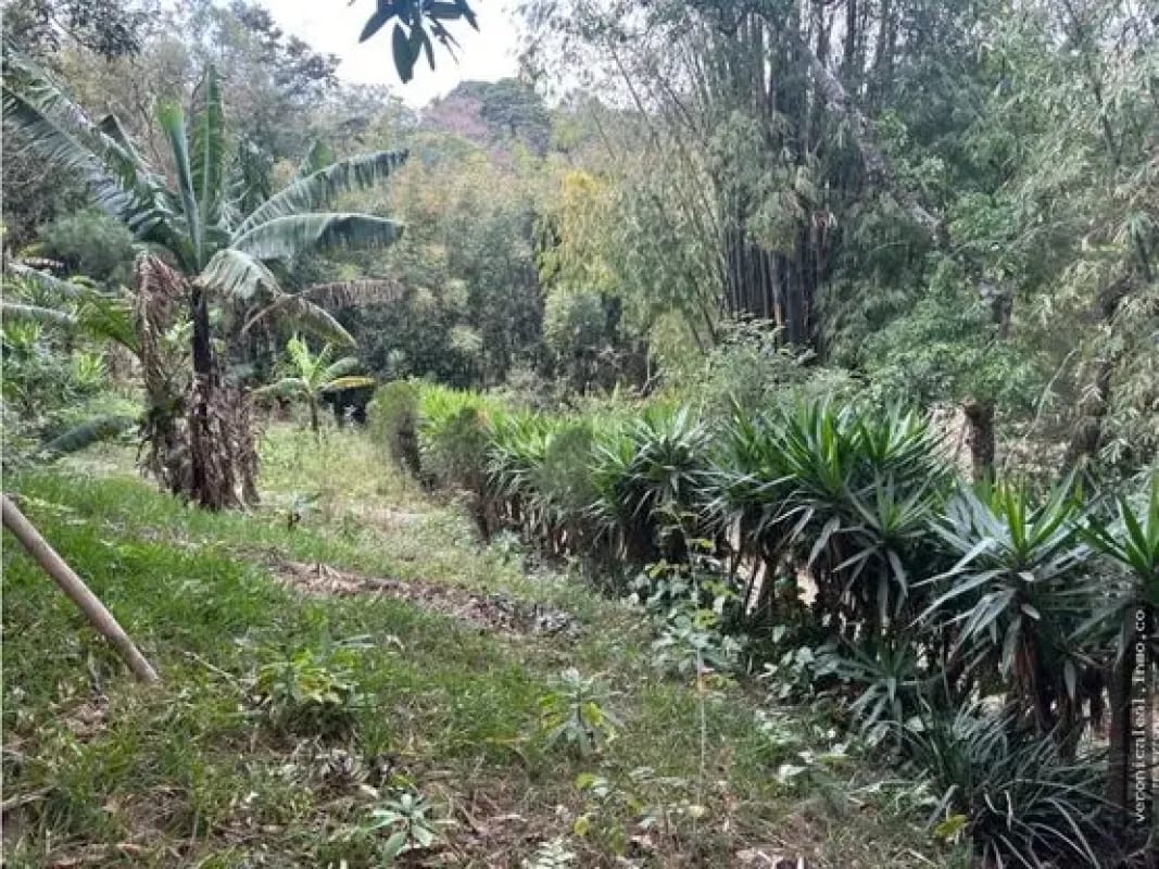 Km 29.5 sobre carretera a El Salvador Terreno en venta — Terreno en Venta en Carretera a El Salvador, Guatemala, Ciudad — foto 14 de 17