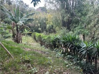 Km 29.5 sobre carretera a El Salvador Terreno en venta — Terreno en Venta en Carretera a El Salvador, Guatemala, Ciudad — miniatura 14 de 17