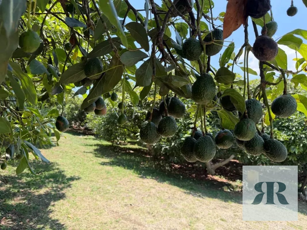 Venta Granja Santa Lucía Milpas Altas — Terreno en Venta en Santa Lucía Milpas Altas, Sacatepéquez — foto 8 de 10