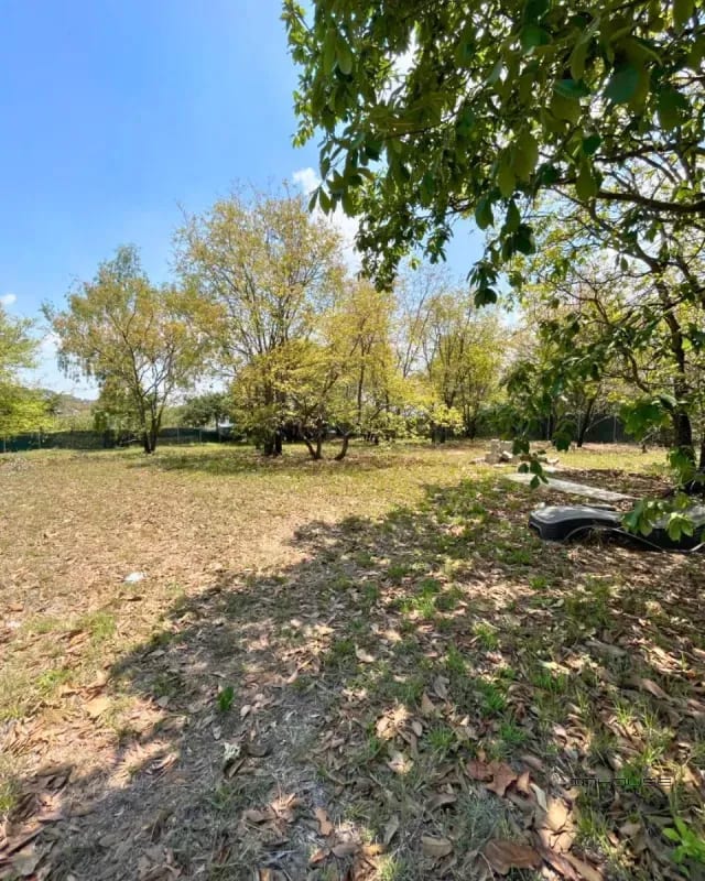 TERRENO EN VENTA SAN CRISTOBAL, SECTOR A6 DENTRO DE GARITA — Terreno en Venta en Zona 8 Mixco, Guatemala, Ciudad — foto 5 de 7