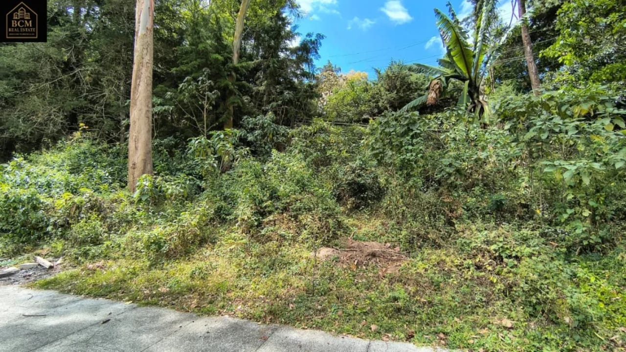 Vendo Terreno San José Pinula — Oficina en Venta en San José Pinula, Guatemala, Ciudad — foto 4 de 4